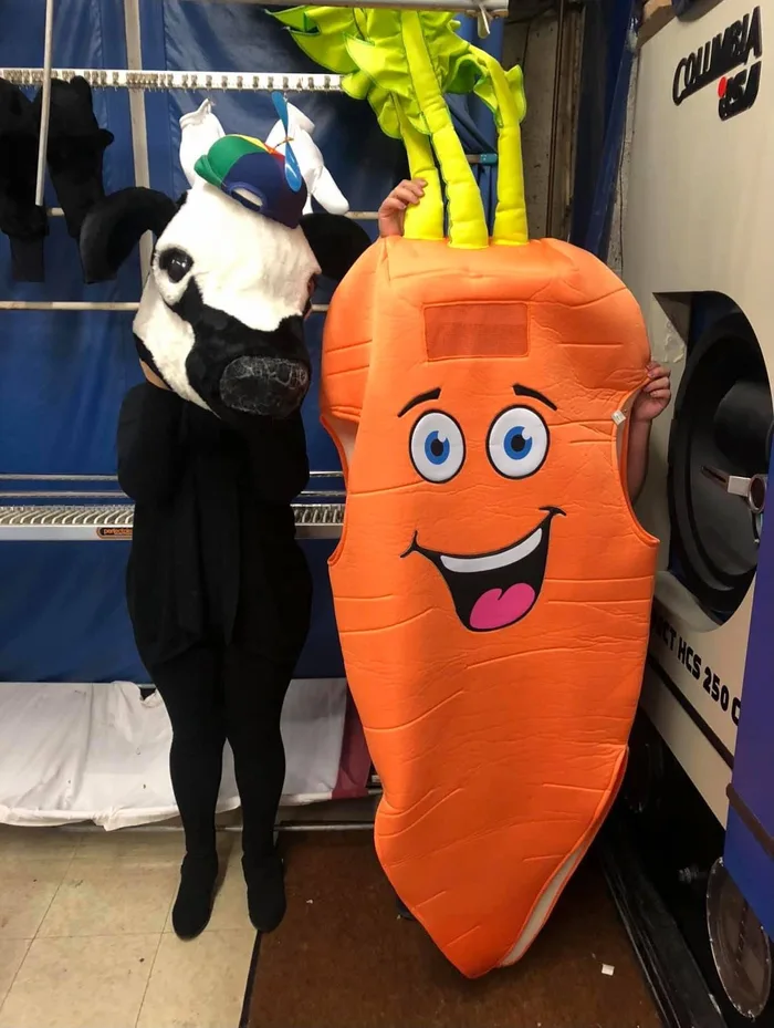 A cow costume and a carrot costume displayed together